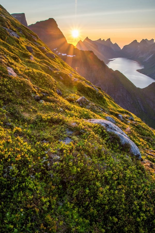 Calm mountain stream flowing through a green forest